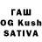 Галлюциногенные грибы GOLDEN TEACHER Daija Davis