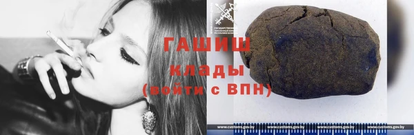 хмурый Бородино