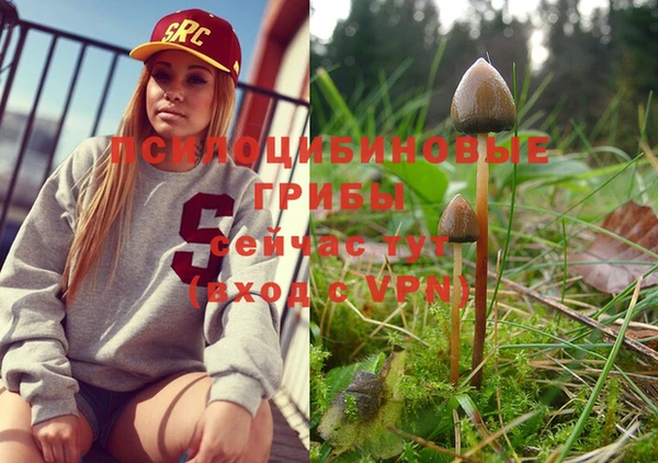 2c-b Бронницы