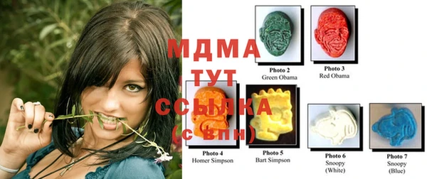 хмурый Бородино
