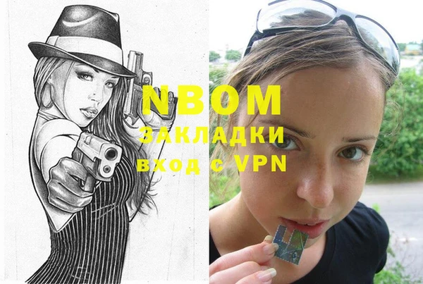 хмурый Бородино