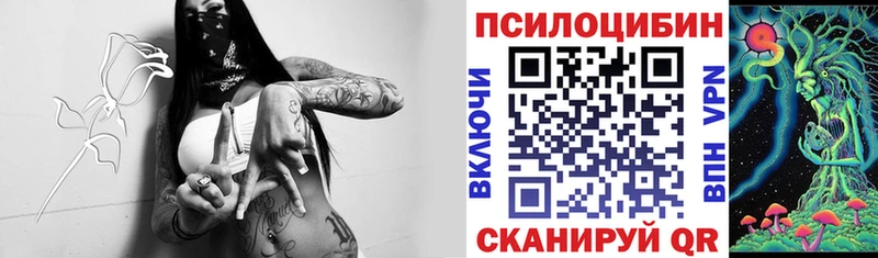 Галлюциногенные грибы GOLDEN TEACHER  Мензелинск 