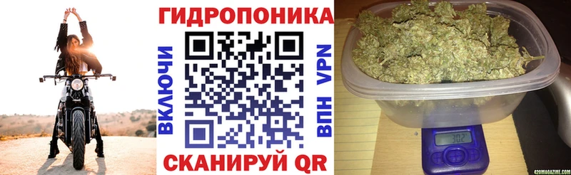 закладки  Мензелинск  OMG маркетплейс  Канабис гибрид 